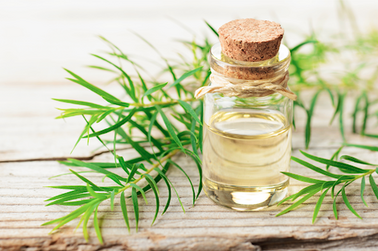 5 Ways Tea Tree Oil Benefits Your Hair